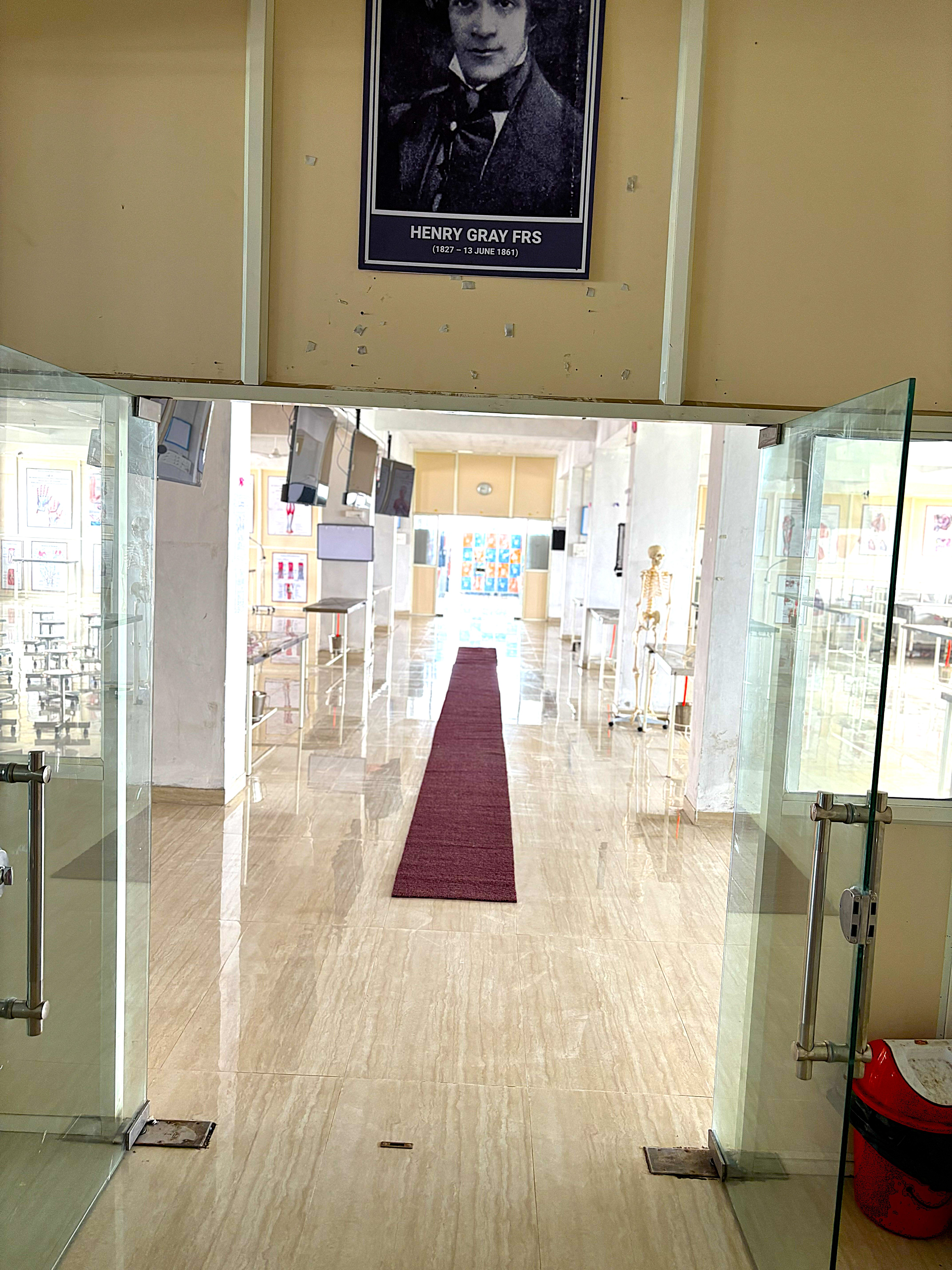 Anatomy Gallery